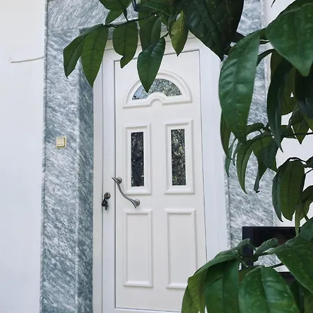 Garden 게스트하우스